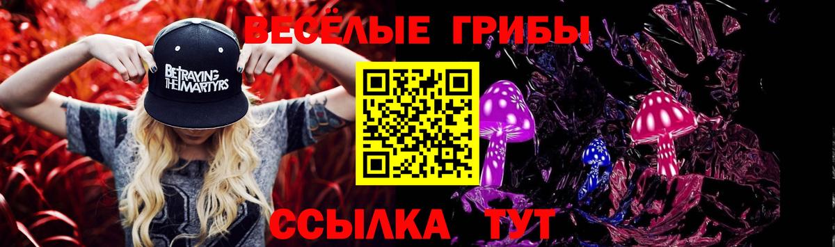 Галлюциногенные грибы Cubensis Избербаш